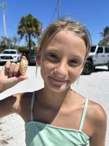 article image - SHELL FIND A1